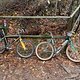 IMG 1581