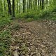 Gratis Trailcenter WB