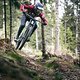 Canyon-Sender-Action-2070