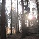 IMG 1427