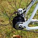 Bike rohloff web