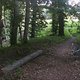 Eppenhain-Trail