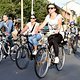 CriticalMass 1507 6528b