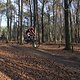 IMG 1824