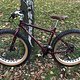 Surly Pugsley Special Ops - im Herbst