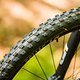 Schwalbe Fat Albert und DT XMC1200 Carbon-Laufräder