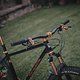 SingleBe - NoisyBee - Custom 29er