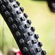 Trek-Harriet-Harnden-5884