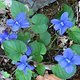 130509 Eltzbachtal19