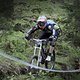 Wildbad DH1