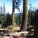 IMG 0676