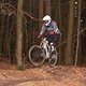 IMG 3487