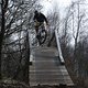 IMG 7183
