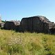 Foto0087