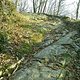 Secret Home Trail1