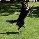 Urlaub Hunde -8194