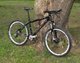 Hardtail 2012