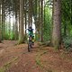 New rigg aufm Trail
