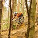 IMG 20160322 060810