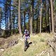 TransVerdon2016 (46)