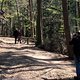 DSC09526