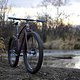 Sklar Bikes_29+_2