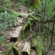 japanischer Trail