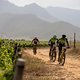 Luyanda Thobigunya  and Lorenzo Leroux of Fairtree Cannondale 1 during stage 4 of the 2021 Absa Cape Epic Mountain Bike stage race from Saronsberg in Tulbagh to CPUT in Wellington, South Africa on the 21th October 2021

Photo by Gary Perkin/Cape Epic