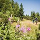 Trailsurfen: Tobi und Markus haben Spaß in den Bergen hinter Kaltern