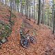 SDC18892 kl