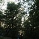 DSC06810neum