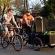 Critical Mass 1703 0384b