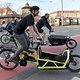 Critical Mass 1803 2719a