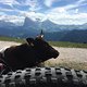 Dolomiten MTB Romantik