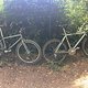IMG 4747