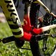 MTBNews25 Araxa2 VKoretzkyBike-0412