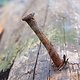 rostiger-nagel-im-holz