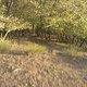 IMAG0202