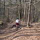 Bike Beerfelden P 251