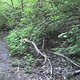 2012-05-07 19-48-34 825