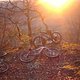Förrenbachhütte Bikes+Sonnenuntergang