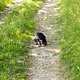 Fotospaziergang 06-06-2014 Tina -5702