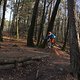 IMG 1744