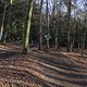 IMG 1868