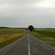 P1050384 Kopie
