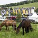Idylle - iXS EDC Willingen 2016
