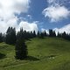 IMG 3846