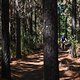 2018 #SaasveldSingletrack Momentum Health Cape Pioneer Trek presented by Biogen Stage3-0030