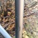 IMG 20220115 145107