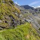 IMG 4166